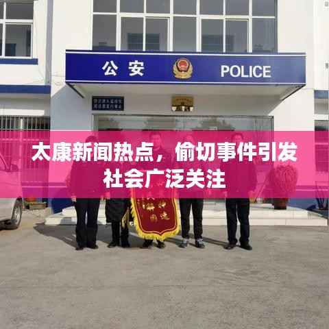 太康新闻热点,偷切事件引发社会广泛关注