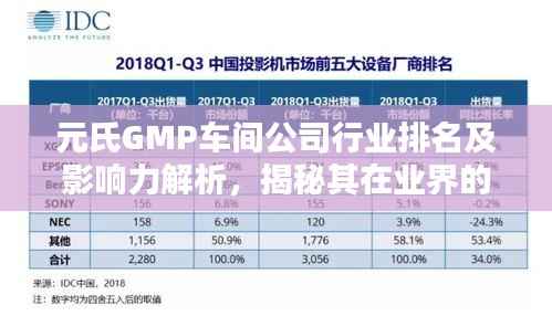 元氏GMP车间公司行业排名及影响力解析，揭秘其在业界的地位与影响力