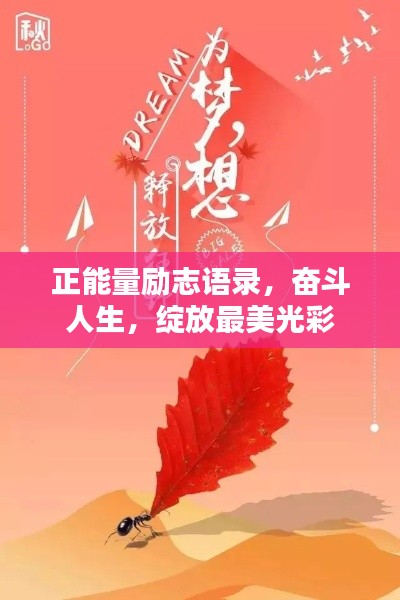 正能量励志语录,奋斗人生,绽放最美光彩