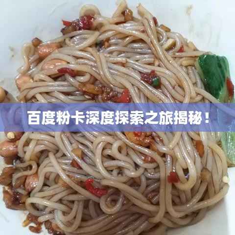 百度粉卡深度探索之旅揭秘!
