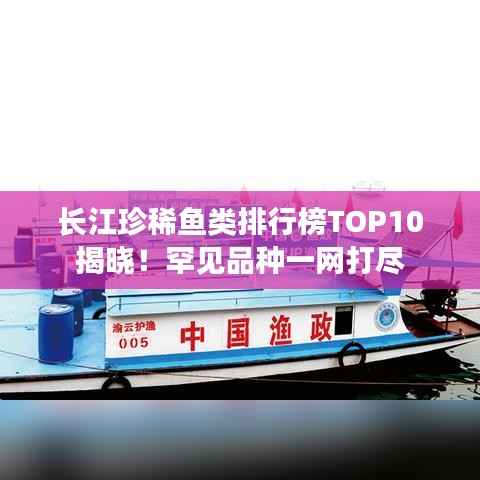 长江珍稀鱼类排行榜TOP10揭晓!罕见品种一网打尽