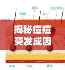 眉开眼笑 第2页