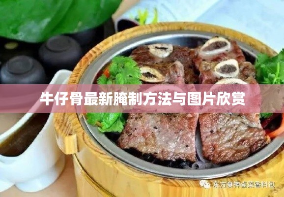 牛仔骨最新腌制方法与图片欣赏