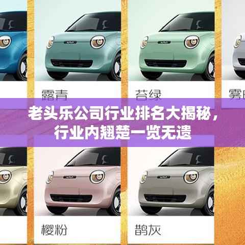 老头乐公司行业排名大揭秘,行业内翘楚一览无遗