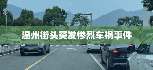 温州街头突发惨烈车祸事件