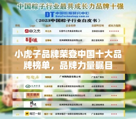 小虎子品牌荣登中国十大品牌榜单,品牌力量瞩目