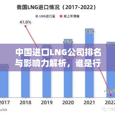 中国进口LNG公司排名与影响力解析,谁是行业巨头?