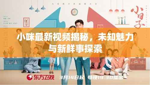 小咪最新视频揭秘，未知魅力与新鲜事探索
