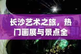 长沙艺术之旅,热门画展与景点全攻略