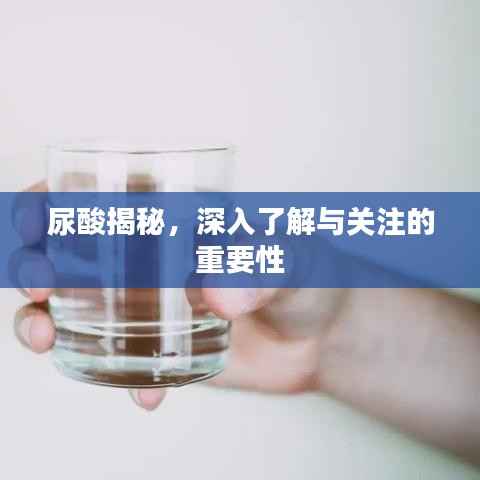 尿酸揭秘,深入了解与关注的重要性