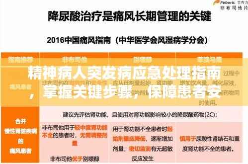 精神病人突发病应急处理指南，掌握关键步骤，保障患者安全