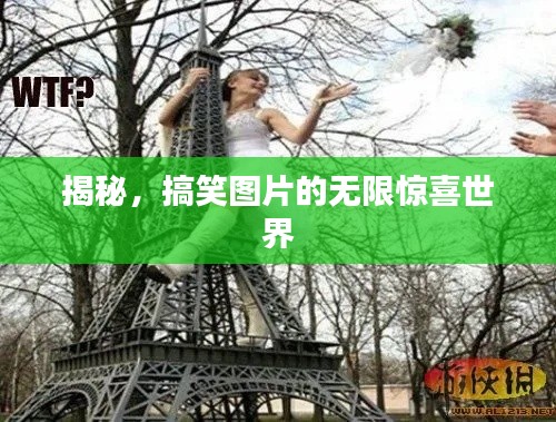 揭秘,搞笑图片的无限惊喜世界