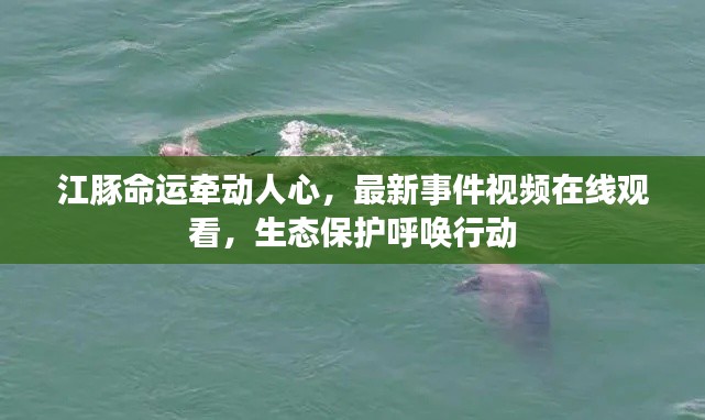 高抬贵手 第2页