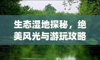 生态湿地探秘，绝美风光与游玩攻略！