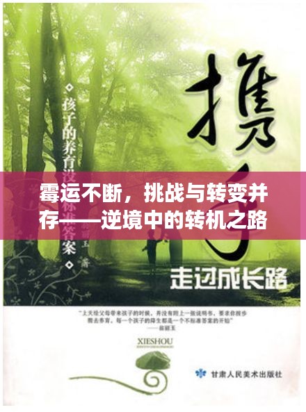 霉运不断，挑战与转变并存——逆境中的转机之路