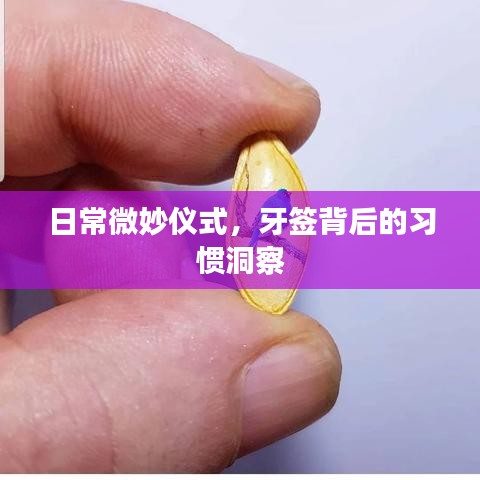 日常微妙仪式，牙签背后的习惯洞察