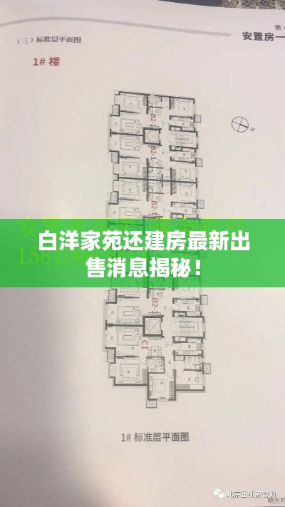 白洋家苑还建房最新出售消息揭秘！