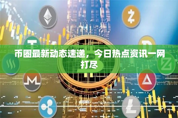 币圈最新动态速递，今日热点资讯一网打尽