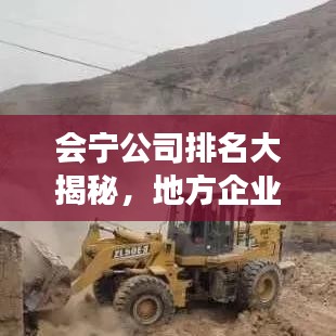 会宁公司排名大揭秘，地方企业发展的崭新格局重磅出炉！