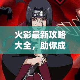 日就月将 第2页