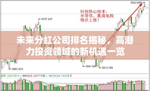 未来分红公司排名揭秘，高潜力投资领域的新机遇一览