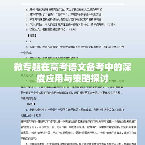微专题在高考语文备考中的深度应用与策略探讨