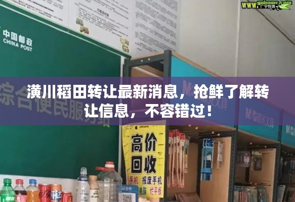 潢川稻田转让最新消息,抢鲜了解转让信息,不容错过!