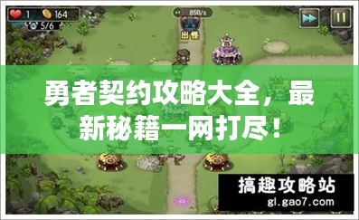 勇者契约攻略大全，最新秘籍一网打尽！