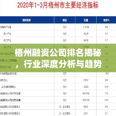 梧州融资公司排名揭秘,行业深度分析与趋势解读