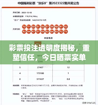 彩票投注透明度揭秘,重塑信任,今日晒票实单最新资讯!