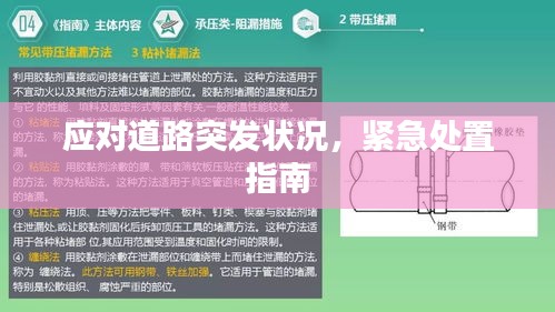 应对道路突发状况,紧急处置指南