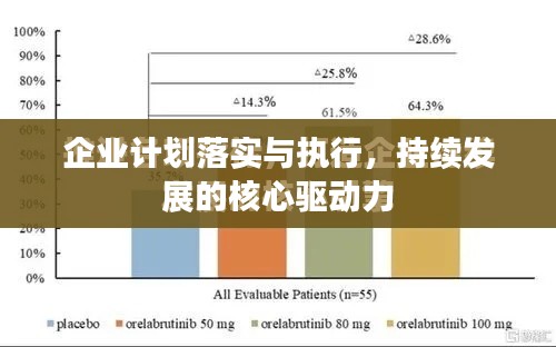 企业计划落实与执行，持续发展的核心驱动力