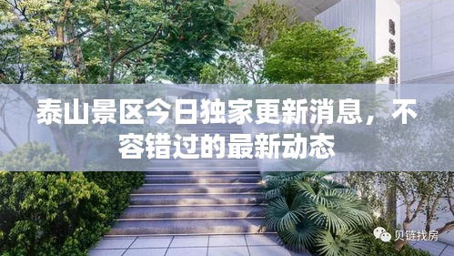 泰山景区今日独家更新消息，不容错过的最新动态